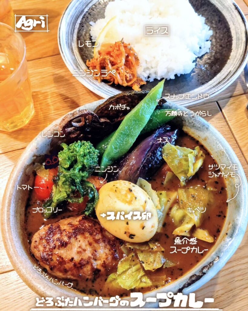 Agri（アグリ）のどろぶたハンバーグのスープカレー