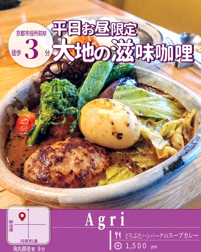 Agri（アグリ）のどろぶたハンバーグのスープカレー
